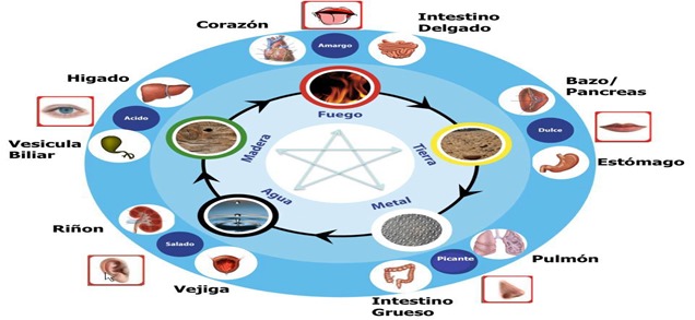 organos y elementos