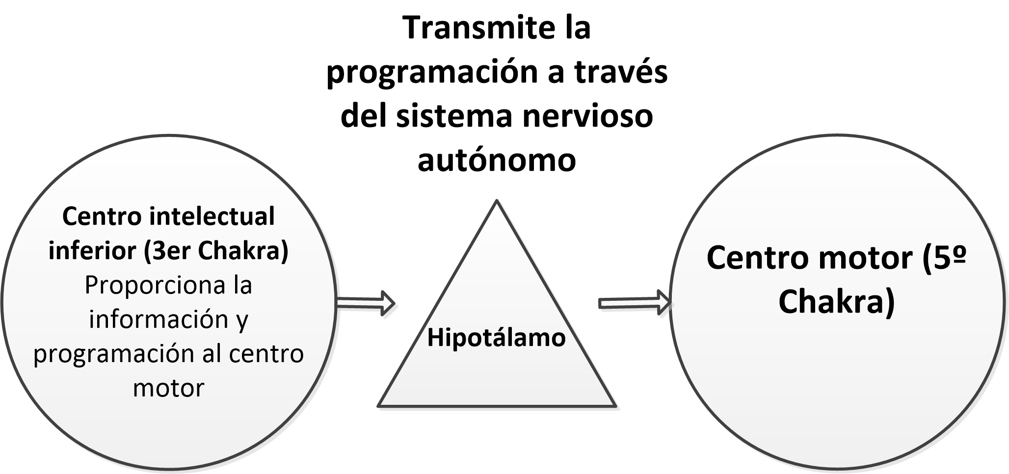 Centro motor – EMEDT – Escuela de Metafísica y Desarrollo Transpersonal