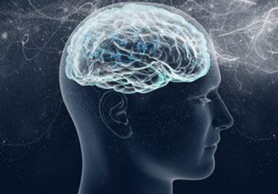 El árbol Merkle y los procesos concatenados de pensamientos de la mente