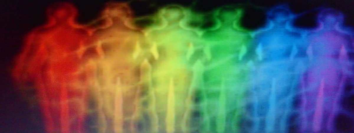 Repaso: La estructura de 9 cuerpos del ser humano