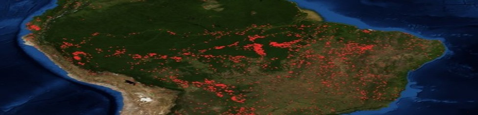 Incendios, &ldquo;octavas karma&rdquo; y reforestaci&oacute;n de la biosfera