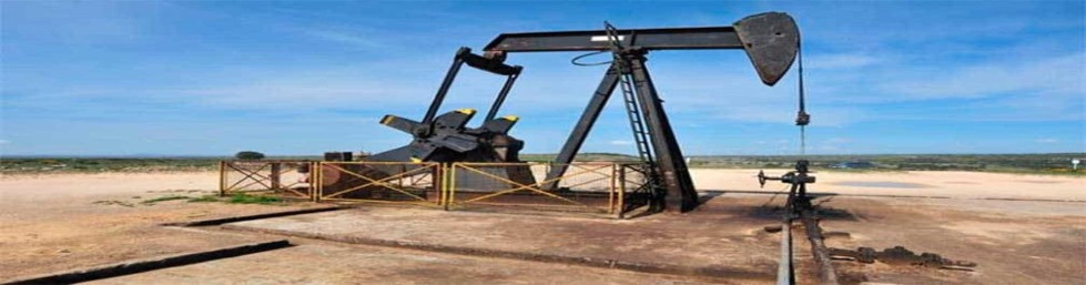 Cancelando los procesos de generaci&oacute;n de petr&oacute;leo