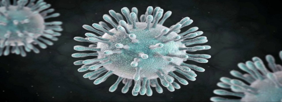 Poniendo freno a la infecci&oacute;n del &ldquo;coronavirus&rdquo; propag&aacute;ndose desde China. Funcionamiento &ldquo;energ&eacute;tico&rdquo; de la infecci&oacute;n viral.