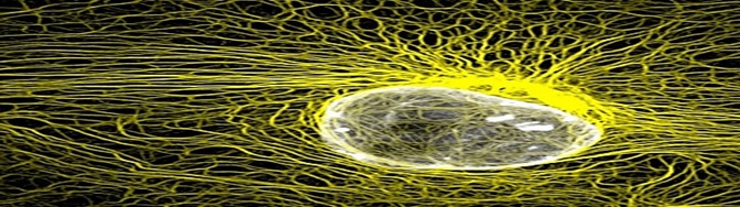 Átomos simiente y el sistema de intercambio de información de nuestra estructura energética