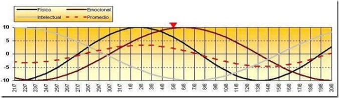 Biorritmos y procesos energéticos por octavas