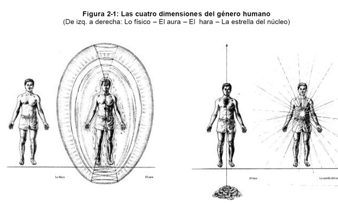 Niveles de trabajo para la “liberación” de la energía del «ser interior» o «esencia»