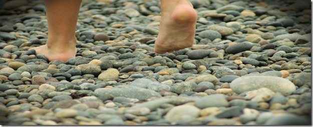 Cuarenta piedras en el camino