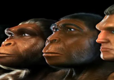 La amalgama de ADN en las etapas de creación del avatar humano – usando al homo sapiens para la mejora genética de muchas otras razas