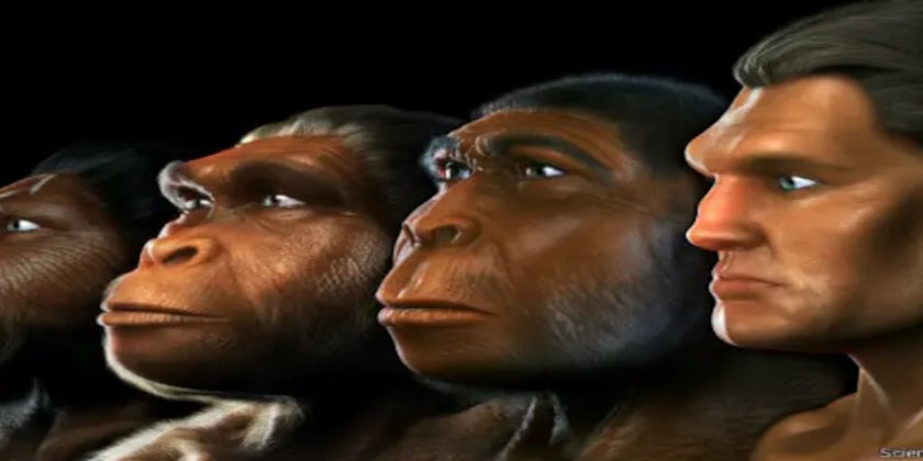 La amalgama de ADN en las etapas de creación del avatar humano – usando al homo sapiens para la mejora genética de muchas otras razas