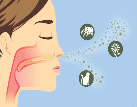 Sanando alergias y eliminando nuestras toxinas energéticas
