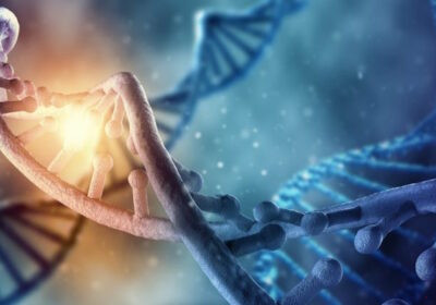 La herencia energética y la transmisión de patrones a través del ADN
