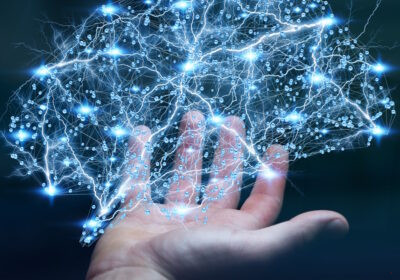 El cerebro como soporte físico y la mente como campo energético