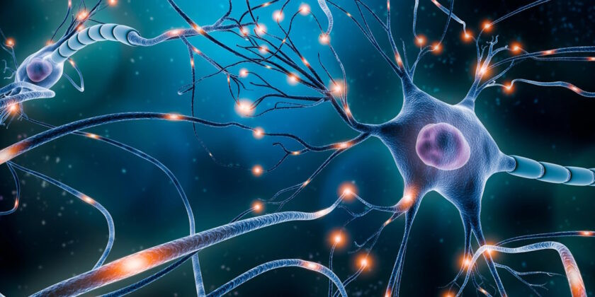 La reconfiguración de redes neuronales y la prioridad a la hora de implementar los cambios de los procesos de sanación y desprogramación con el YS